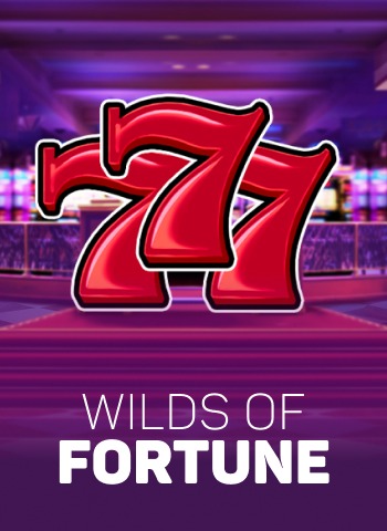 spinpanda-bsgwildsoffortune160